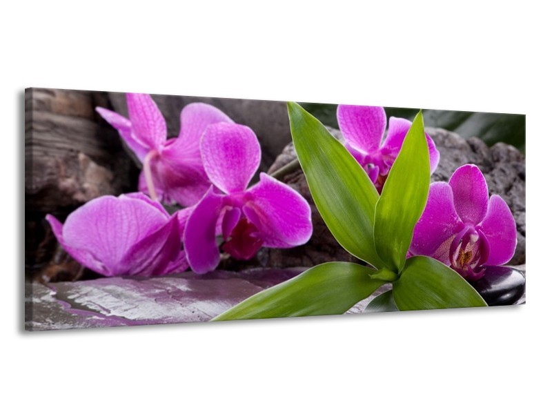 Canvas schilderij Orchidee | Zwart, Roze, Grijs | 145x58cm 1Luik