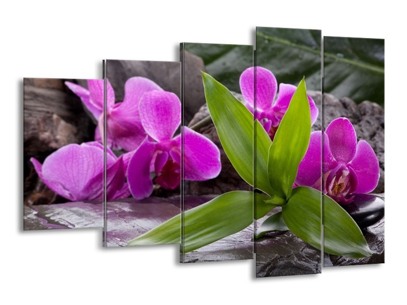Canvas schilderij Orchidee | Zwart, Roze, Grijs | 150x100cm 5Luik