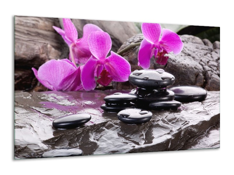 Canvas schilderij Orchidee | Zwart, Roze, Grijs | 120x70cm 1Luik
