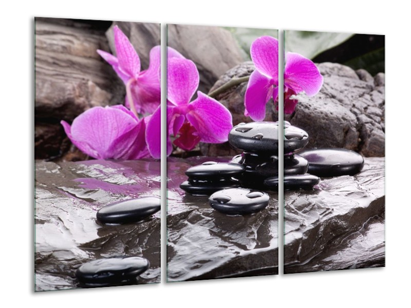 Canvas schilderij Orchidee | Zwart, Roze, Grijs | 120x80cm 3Luik
