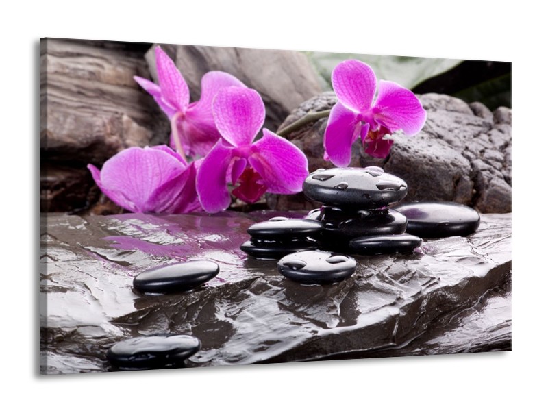 Canvas schilderij Orchidee | Zwart, Roze, Grijs | 140x90cm 1Luik
