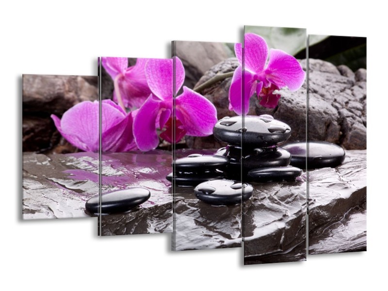Canvas schilderij Orchidee | Zwart, Roze, Grijs | 150x100cm 5Luik