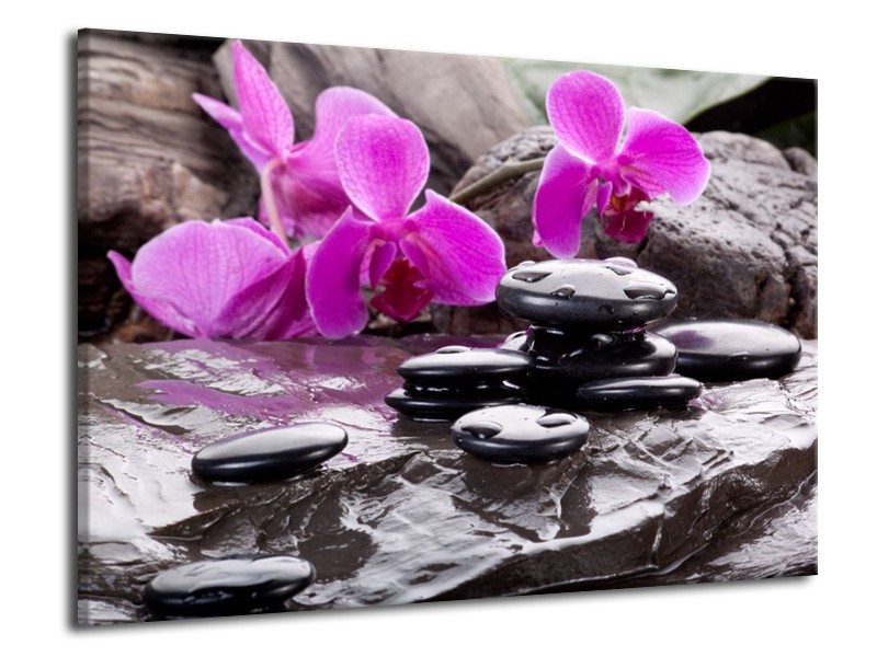 Canvas schilderij Orchidee | Zwart, Roze, Grijs | 70x50cm 1Luik