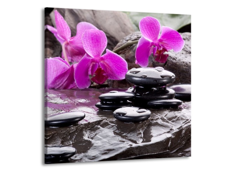 Canvas schilderij Orchidee | Zwart, Roze, Grijs | 70x70cm 1Luik