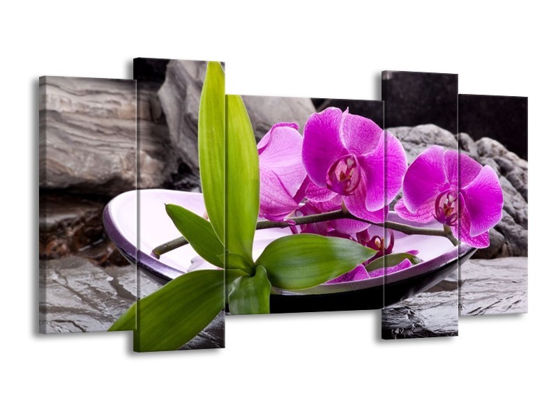 Canvas schilderij Orchidee | Zwart, Roze, Grijs | 120x65 5Luik