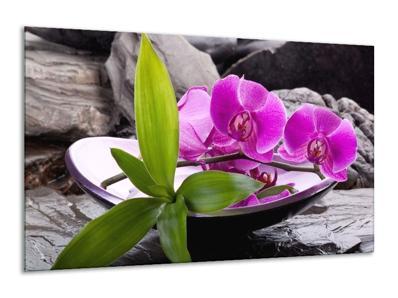 Canvas schilderij Orchidee | Zwart, Roze, Grijs | 120x70cm 1Luik
