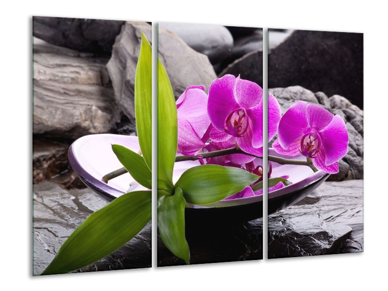 Canvas schilderij Orchidee | Zwart, Roze, Grijs | 120x80cm 3Luik