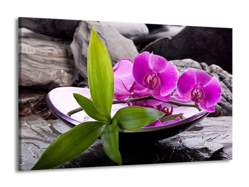 Canvas schilderij Orchidee | Zwart, Roze, Grijs | 140x90cm 1Luik