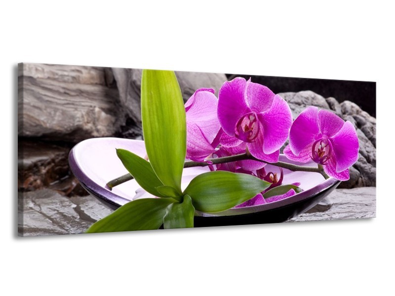 Canvas schilderij Orchidee | Zwart, Roze, Grijs | 145x58cm 1Luik