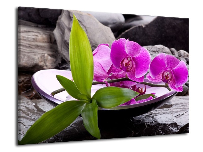 Canvas schilderij Orchidee | Zwart, Roze, Grijs | 70x50cm 1Luik