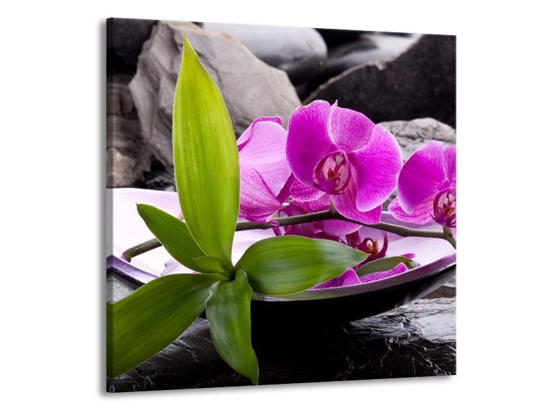 Canvas schilderij Orchidee | Zwart, Roze, Grijs | 70x70cm 1Luik
