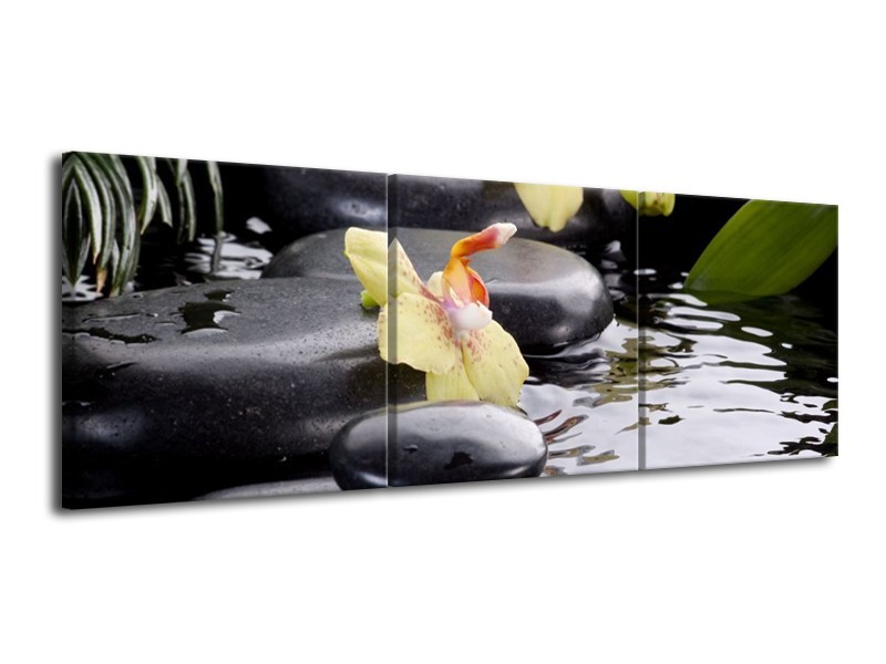 Canvas schilderij Orchidee | Geel, Zwart, Wit | 120x40cm 3Luik