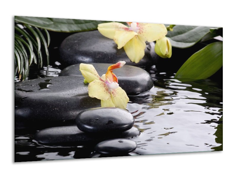 Canvas schilderij Orchidee | Geel, Zwart, Wit | 120x70cm 1Luik
