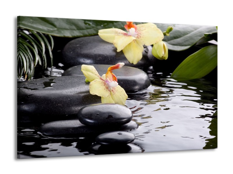 Canvas schilderij Orchidee | Geel, Zwart, Wit | 140x90cm 1Luik