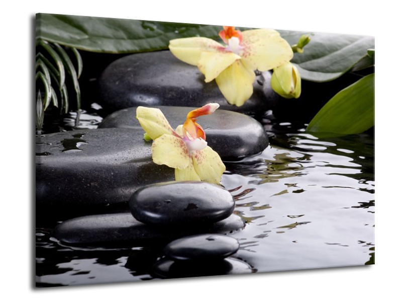 Canvas schilderij Orchidee | Geel, Zwart, Wit | 70x50cm 1Luik
