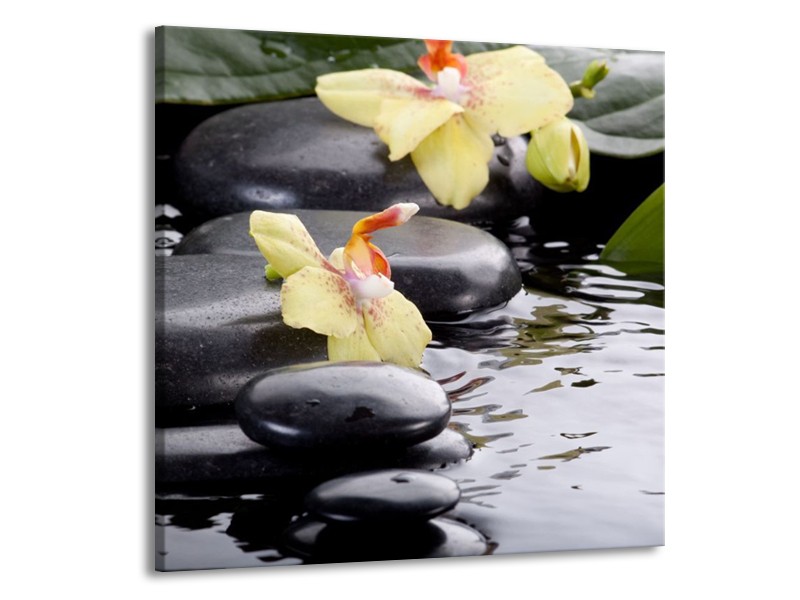 Canvas schilderij Orchidee | Geel, Zwart, Wit | 70x70cm 1Luik