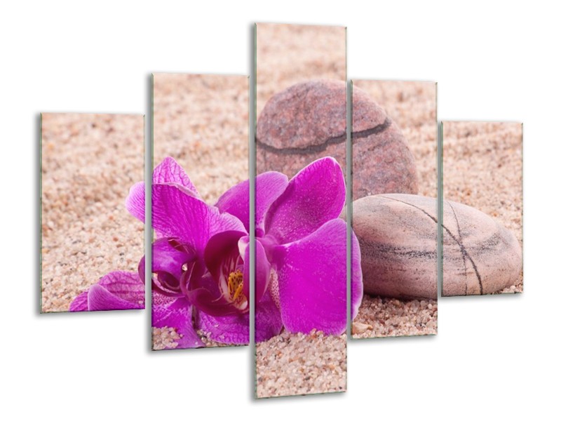 Canvas schilderij Orchidee | Paars, Geel, Bruin | 100x70cm 5Luik