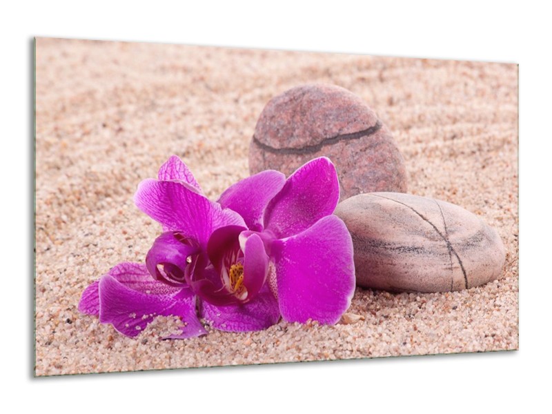 Canvas schilderij Orchidee | Paars, Geel, Bruin | 120x70cm 1Luik