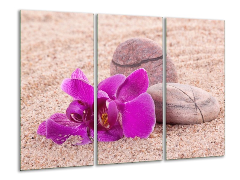 Canvas schilderij Orchidee | Paars, Geel, Bruin | 120x80cm 3Luik