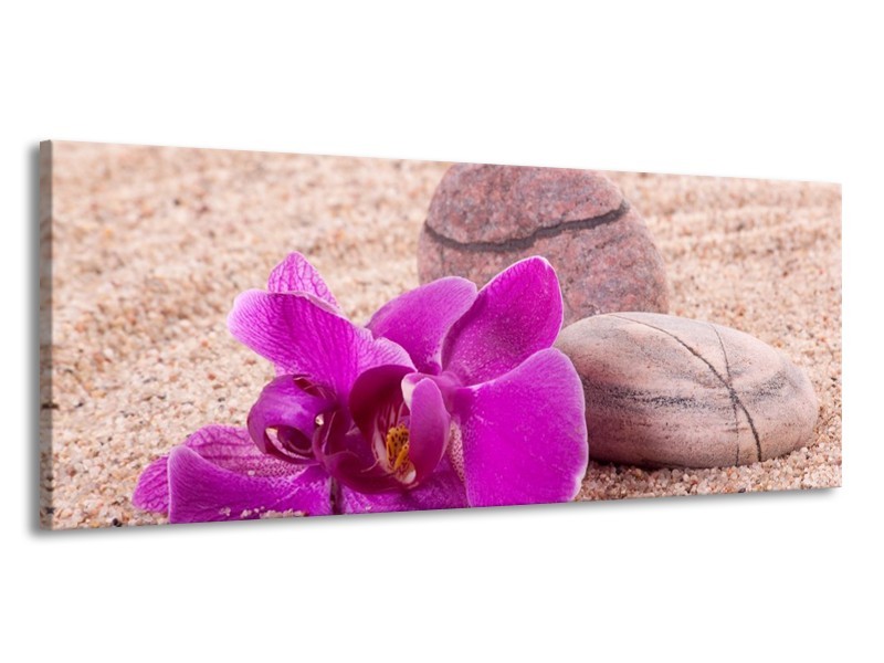 Canvas schilderij Orchidee | Paars, Geel, Bruin | 145x58cm 1Luik