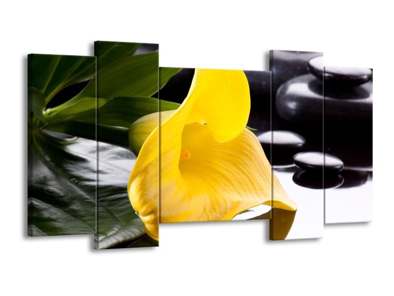 Canvas schilderij Bloem | Geel, Zwart, Wit | 120x65 5Luik