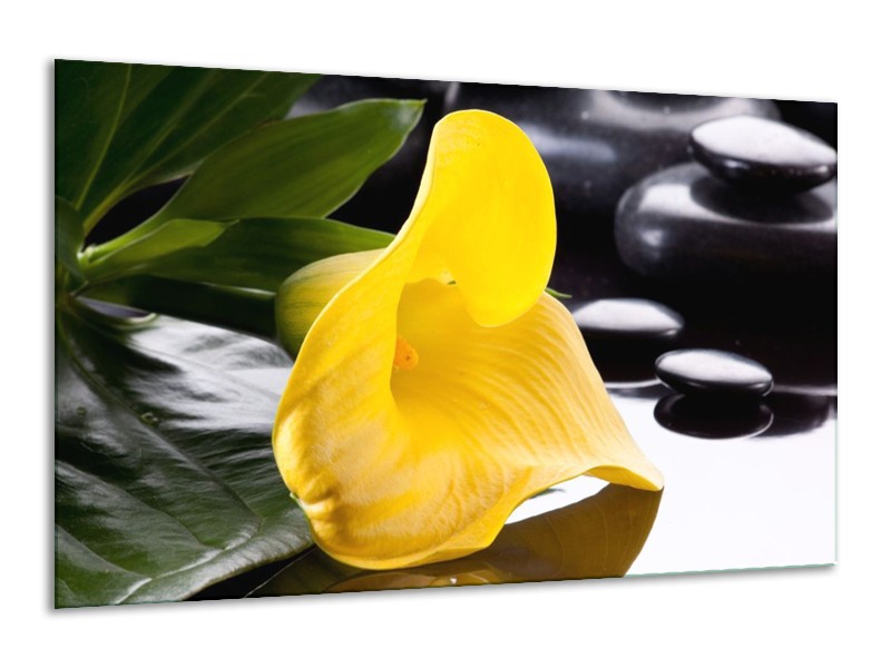 Canvas schilderij Bloem | Geel, Zwart, Wit | 120x70cm 1Luik