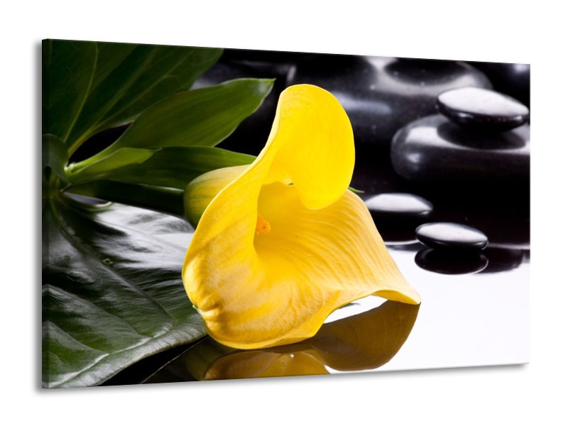 Canvas schilderij Bloem | Geel, Zwart, Wit | 140x90cm 1Luik