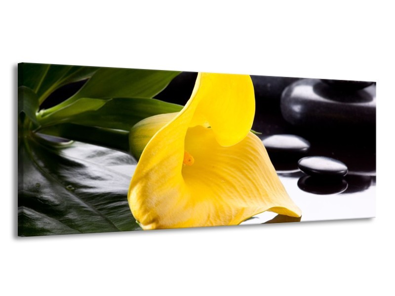Canvas schilderij Bloem | Geel, Zwart, Wit | 145x58cm 1Luik