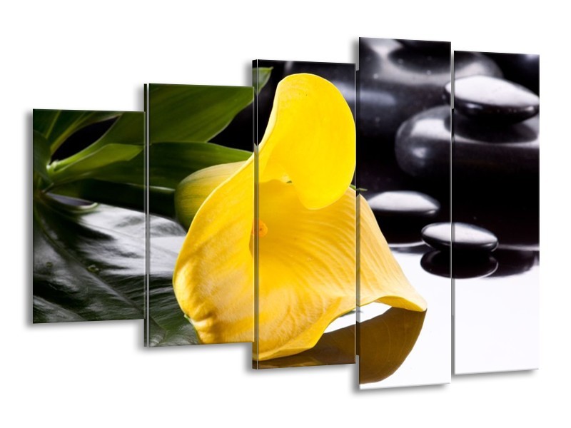Canvas schilderij Bloem | Geel, Zwart, Wit | 150x100cm 5Luik