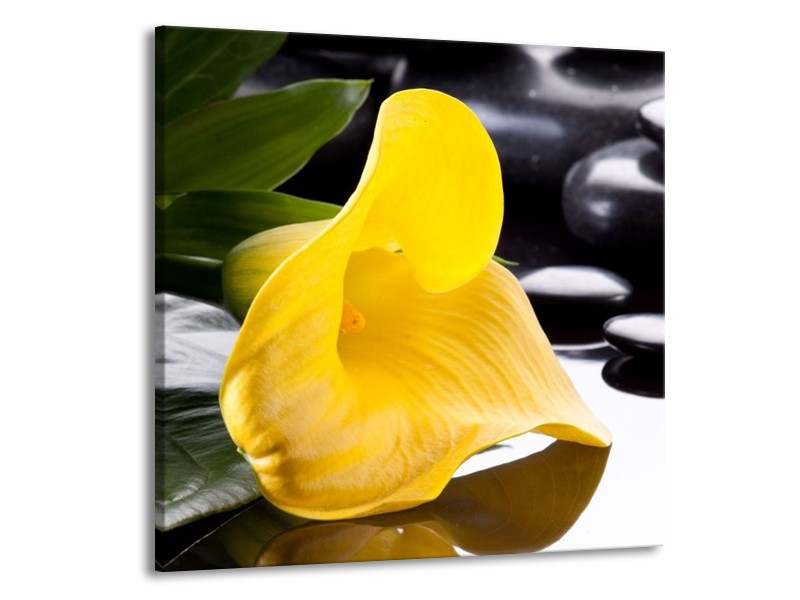 Glas schilderij Bloem | Geel, Zwart, Wit | 50x50cm 1Luik