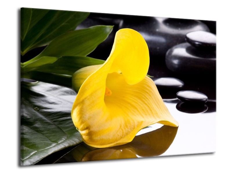 Canvas schilderij Bloem | Geel, Zwart, Wit | 70x50cm 1Luik