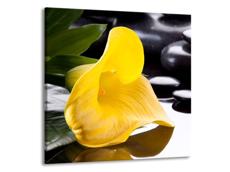 Canvas schilderij Bloem | Geel, Zwart, Wit | 70x70cm 1Luik