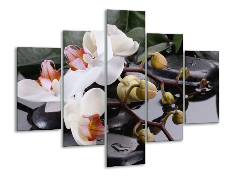 Canvas schilderij Orchidee | Geel, Zwart, Wit | 100x70cm 5Luik