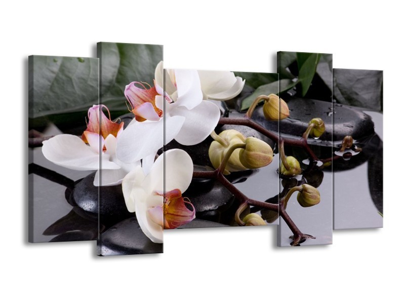 Canvas schilderij Orchidee | Geel, Zwart, Wit | 120x65 5Luik