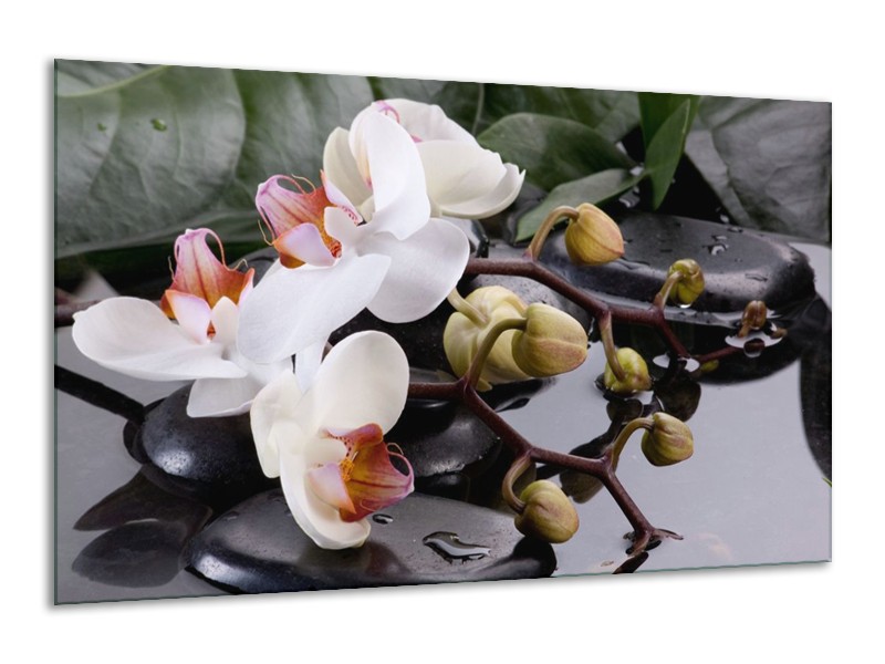 Canvas schilderij Orchidee | Geel, Zwart, Wit | 120x70cm 1Luik