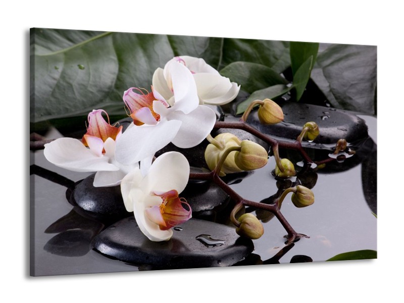Canvas schilderij Orchidee | Geel, Zwart, Wit | 140x90cm 1Luik