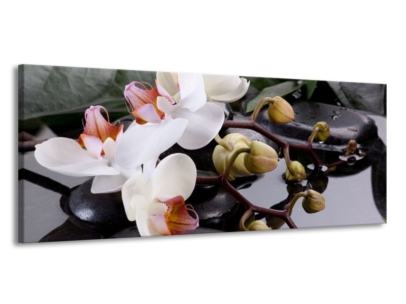 Canvas schilderij Orchidee | Geel, Zwart, Wit | 145x58cm 1Luik