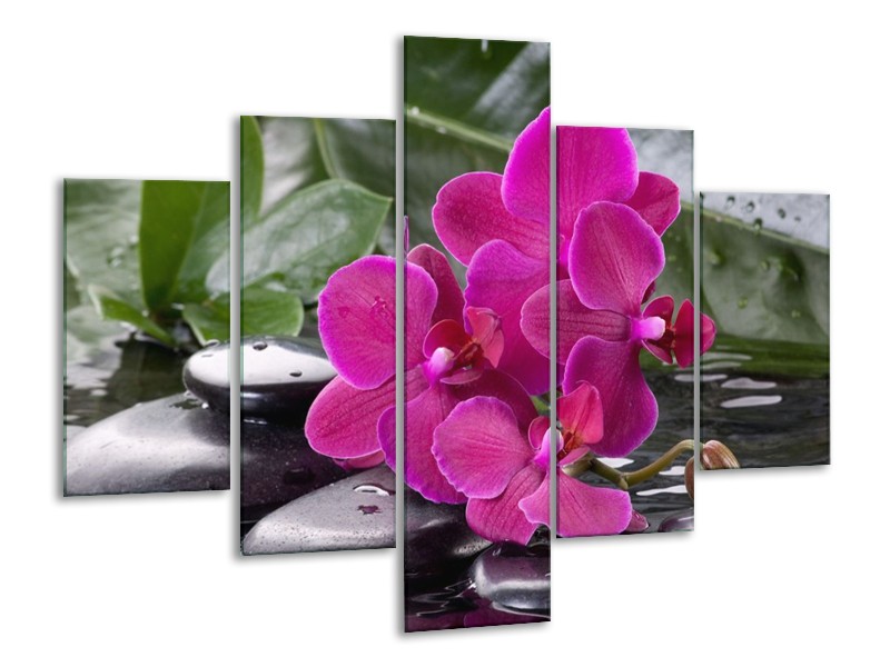 Canvas schilderij Orchidee | Groen, Paars, Zwart | 100x70cm 5Luik