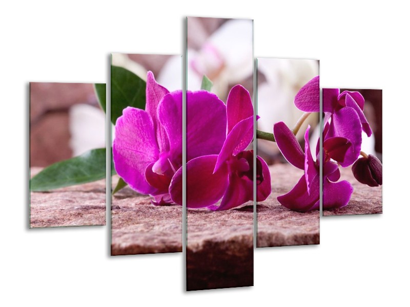 Canvas schilderij Orchidee | Groen, Paars, Zwart | 100x70cm 5Luik