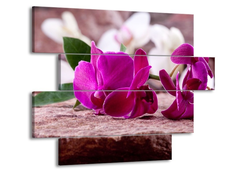 Canvas schilderij Orchidee | Groen, Paars, Zwart | 115x85cm 4Luik