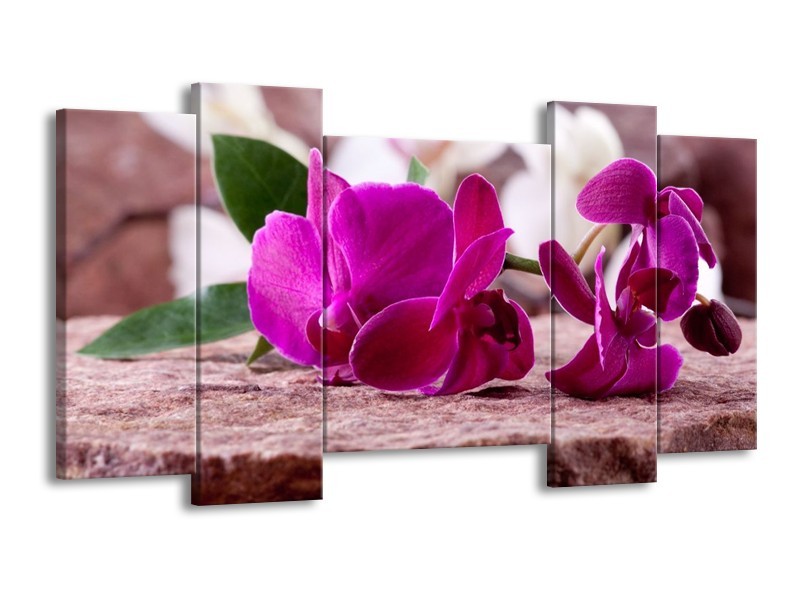 Canvas schilderij Orchidee | Groen, Paars, Zwart | 120x65 5Luik