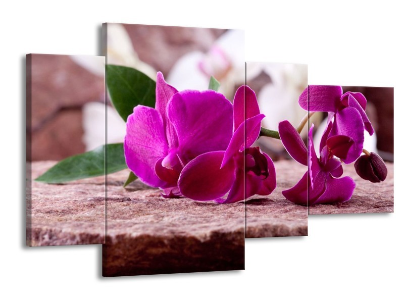 Canvas schilderij Orchidee | Groen, Paars, Zwart | 120x75cm 4Luik