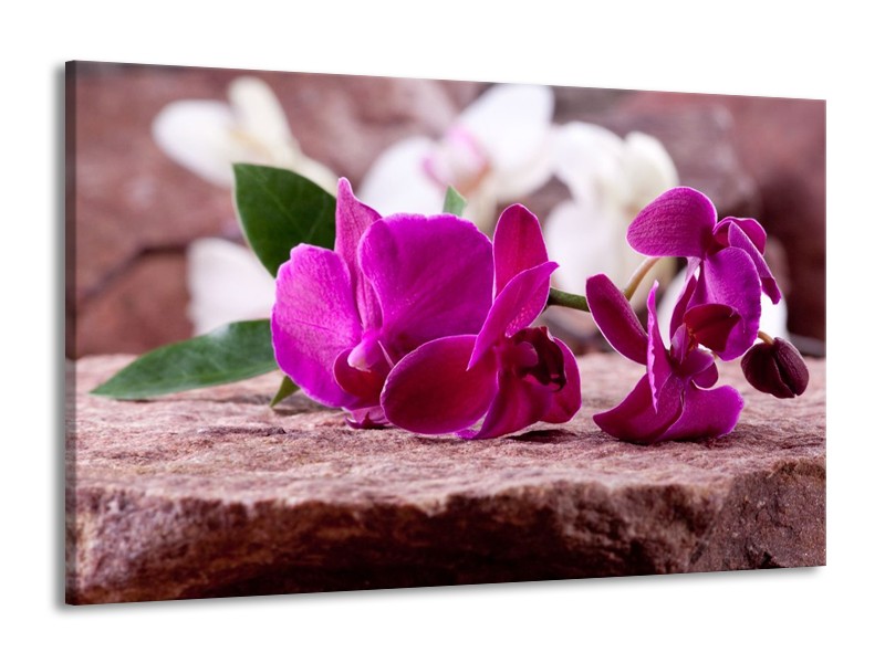 Canvas schilderij Orchidee | Groen, Paars, Zwart | 140x90cm 1Luik