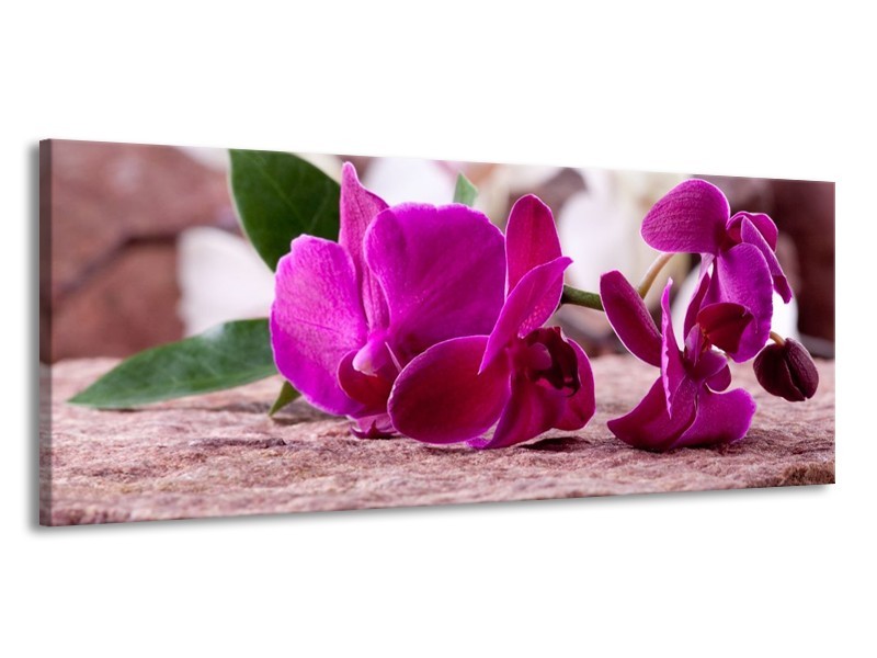 Canvas schilderij Orchidee | Groen, Paars, Zwart | 145x58cm 1Luik