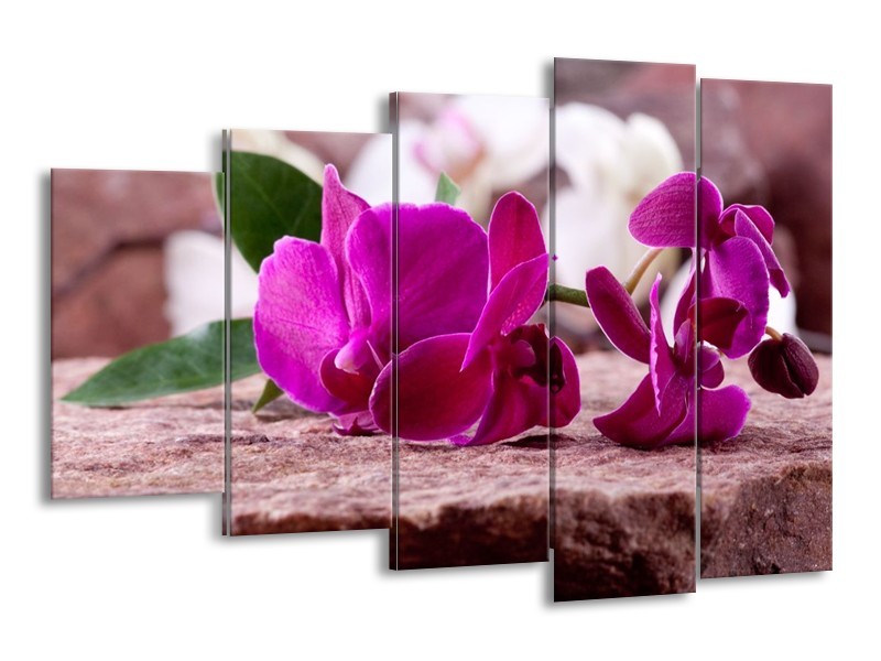 Canvas schilderij Orchidee | Groen, Paars, Zwart | 150x100cm 5Luik