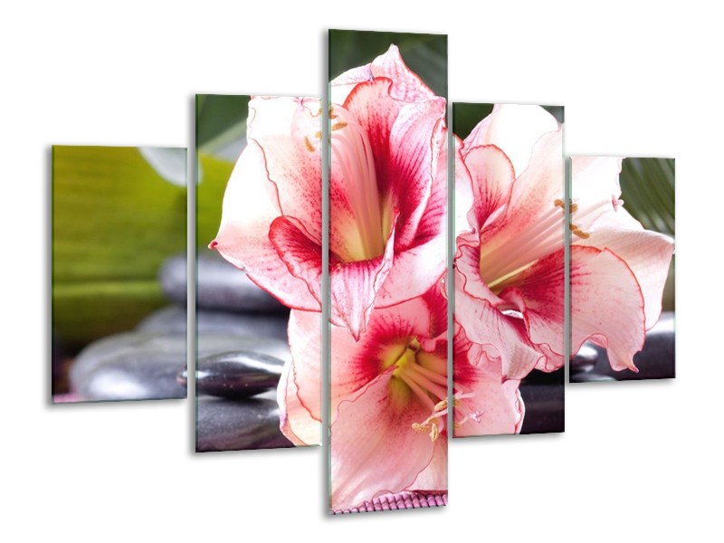 Canvas schilderij Bloem | Roze, Wit, Groen | 100x70cm 5Luik