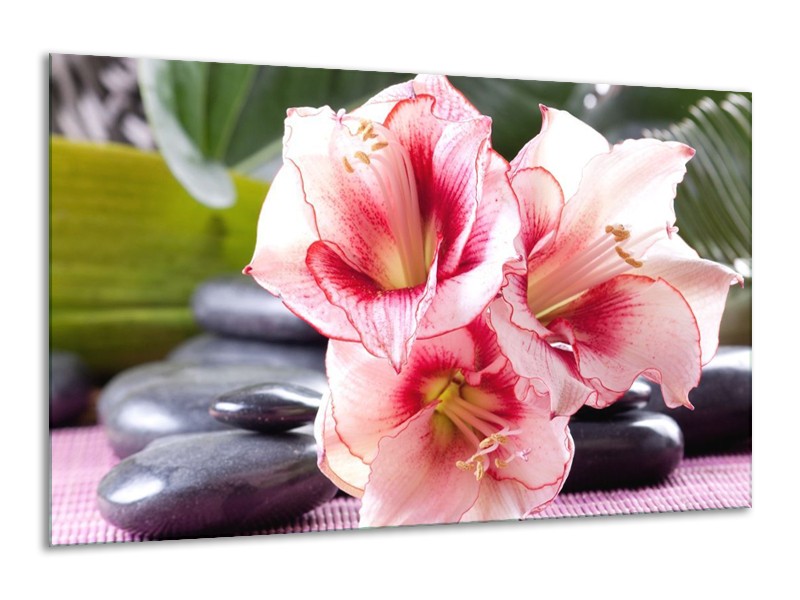 Canvas schilderij Bloem | Roze, Wit, Groen | 120x70cm 1Luik