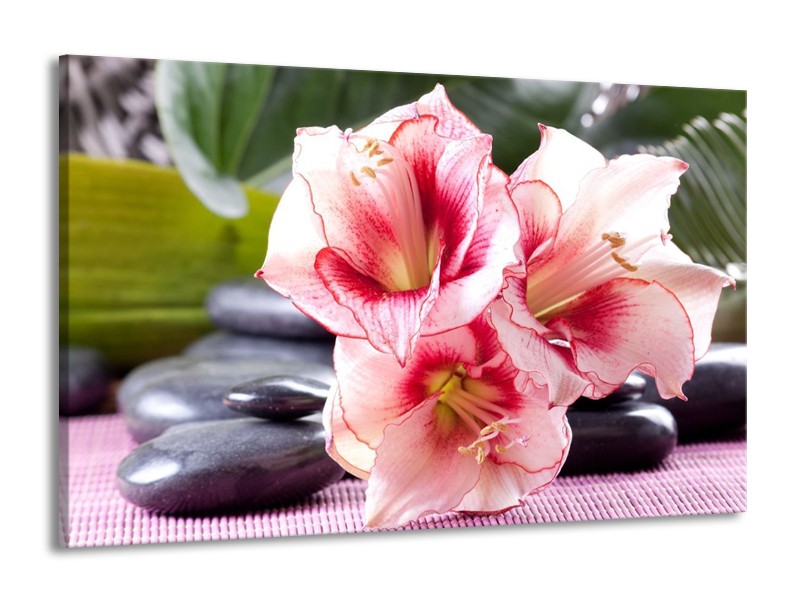Canvas schilderij Bloem | Roze, Wit, Groen | 140x90cm 1Luik