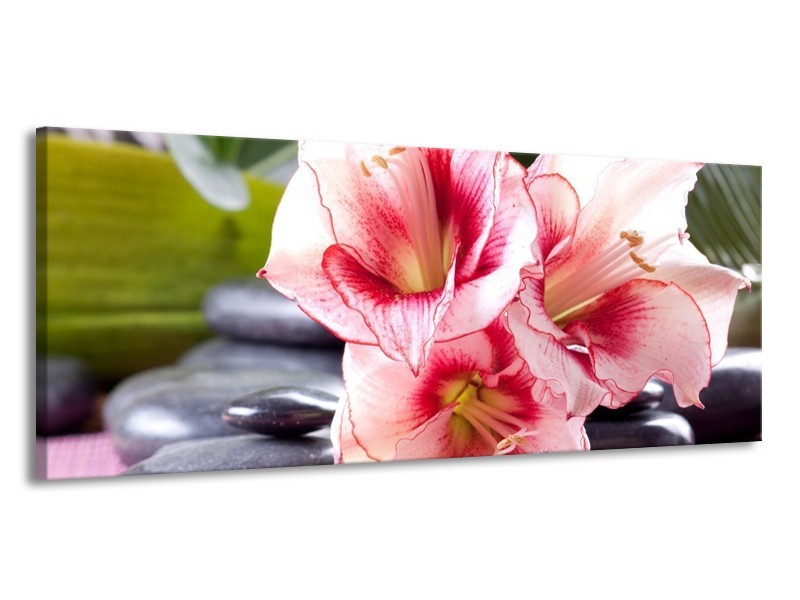 Canvas schilderij Bloem | Roze, Wit, Groen | 145x58cm 1Luik