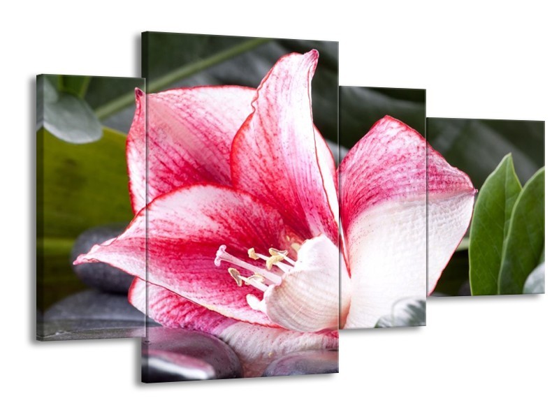 Canvas schilderij Bloem | Roze, Wit, Groen | 120x75cm 4Luik